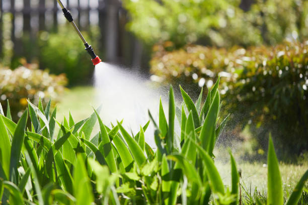 24/7 Emergency Wasp Removal experts in Burley, WA