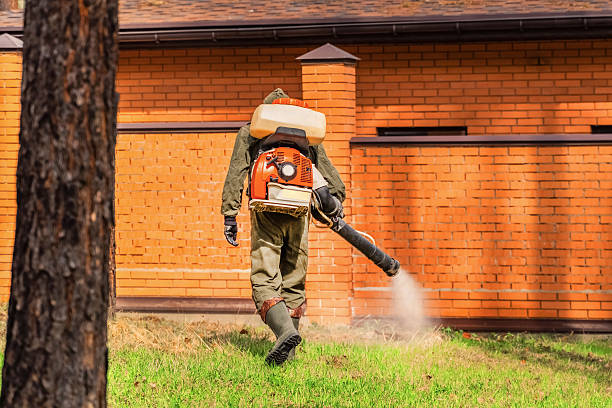 Top rated local Wasp Removal specialists in Burley, WA